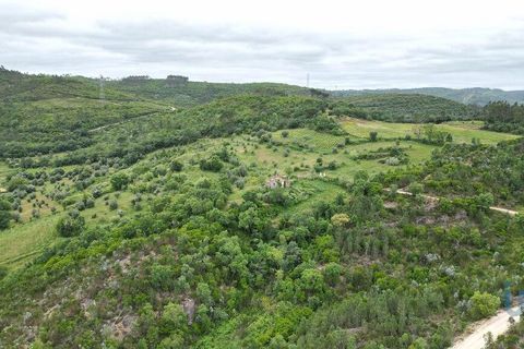 Byhus i Penela, Coimbra, Penela - € 80.000 | Ref: 144871 - foto 10