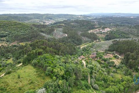 Byhus i Penela, Coimbra, Penela - € 80.000 | Ref: 144871 - foto 15
