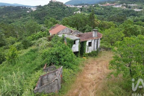 Byhus i Penela, Coimbra, Penela - € 80.000 | Ref: 144871 - foto 17