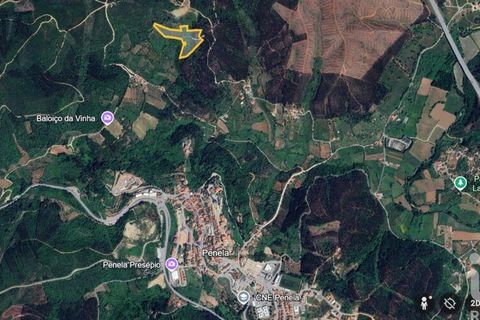 Byhus i Penela, Coimbra, Penela - € 80.000 | Ref: 144871 - foto 22