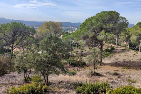 Villa a Lloret De Mar, Gerona, Lloret De Mar - € 869.500 | Ref: 2760/12898 - foto 8