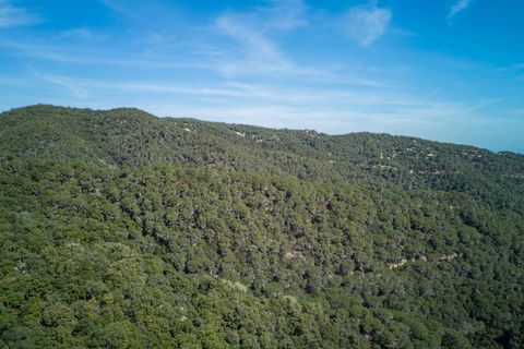 Landejendom i Tordera, Barcelona, Tordera - € 1.200.000 | Ref: 2618/12898 - foto 22
