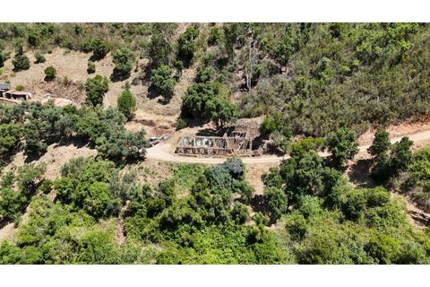 Træhytte i Marmelete, Faro, Marmelete - € 100.000 | Ref: CAS_501 - foto 2