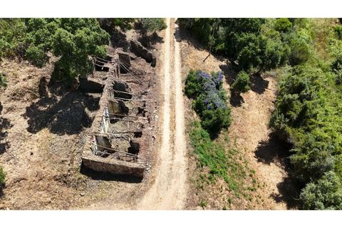 Træhytte i Marmelete, Faro, Marmelete - € 100.000 | Ref: CAS_501 - foto 5