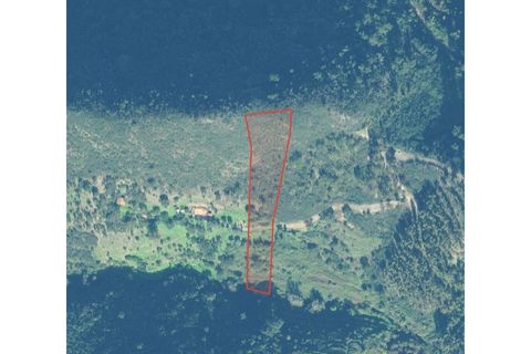 Træhytte i Marmelete, Faro, Marmelete - € 100.000 | Ref: CAS_501 - foto 11