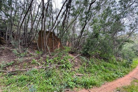 Tomt i Marmelete, Faro, Marmelete - € 180 000 | Ref: TER_198 - foto 15
