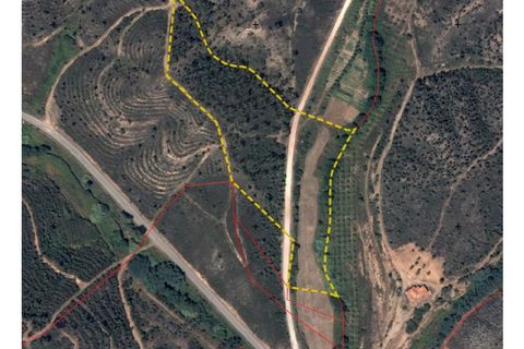 Terra a Marmelete, Faro, Marmelete - € 560.000 | Ref: SÒL_196 - foto 12