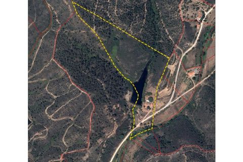 Terra a Marmelete, Faro, Marmelete - € 560.000 | Ref: SÒL_196 - foto 14