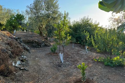 Terra a Marmelete, Faro, Marmelete - € 149.000 | Ref: SÒL_174 - foto 2