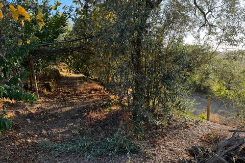 Terra a Marmelete, Faro, Marmelete - € 149.000 | Ref: SÒL_174 - foto 3