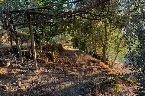 Terra a Marmelete, Faro, Marmelete - € 149.000 | Ref: SÒL_174 - foto 5