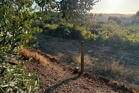 Terra a Marmelete, Faro, Marmelete - € 149.000 | Ref: SÒL_174 - foto 6