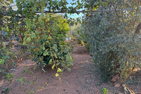 Terra a Marmelete, Faro, Marmelete - € 149.000 | Ref: SÒL_174 - foto 8