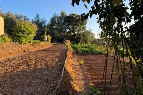 Terra a Marmelete, Faro, Marmelete - € 149.000 | Ref: SÒL_174 - foto 10