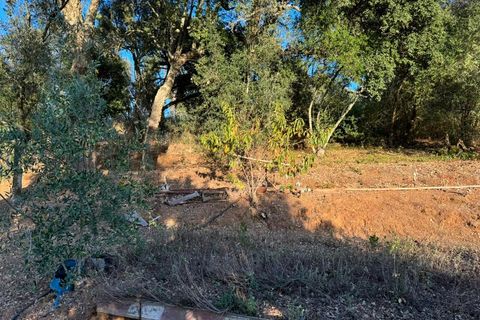 Terra a Marmelete, Faro, Marmelete - € 149.000 | Ref: SÒL_174 - foto 13