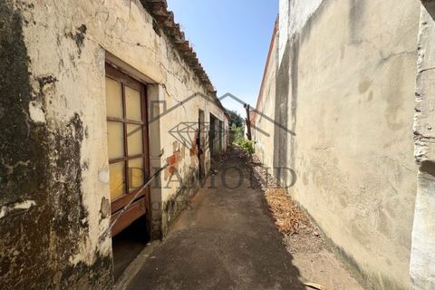 Villa a Gloria do Ribatejo, Santarem, Gloria do Ribatejo - € 77.000 | Ref: DHM-0039/25 - foto 2