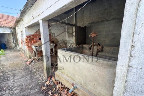 Villa a Gloria do Ribatejo, Santarem, Gloria do Ribatejo - € 77.000 | Ref: DHM-0039/25 - foto 6