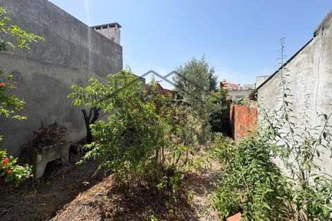 Villa a Gloria do Ribatejo, Santarem, Gloria do Ribatejo - € 77.000 | Ref: DHM-0039/25 - foto 10