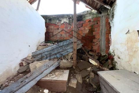 Villa a Gloria do Ribatejo, Santarem, Gloria do Ribatejo - € 77.000 | Ref: DHM-0039/25 - foto 18