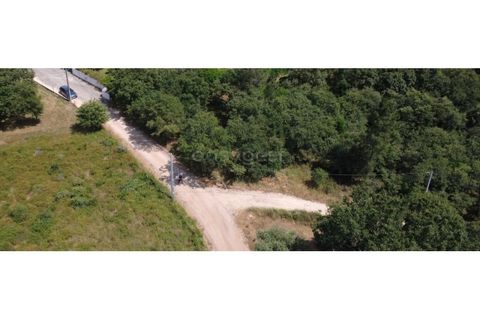Helårsgrund i Penela, Coimbra, Penela - € 38.250 | Ref: RR97533 - foto 2