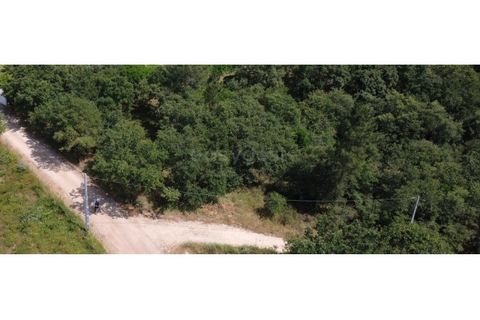 Helårsgrund i Penela, Coimbra, Penela - € 38.250 | Ref: RR97533 - foto 3