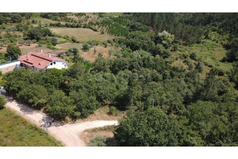 Helårsgrund i Penela, Coimbra, Penela - € 38.250 | Ref: RR97533 - foto 4