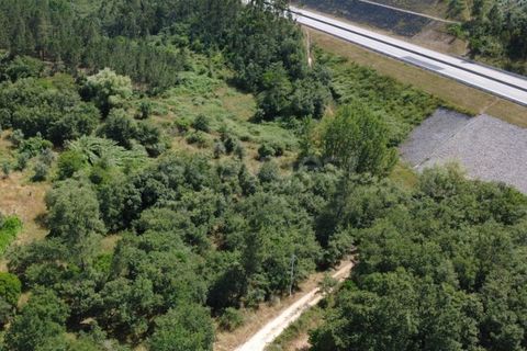 Helårsgrund i Penela, Coimbra, Penela - € 38.250 | Ref: RR97533 - foto 5
