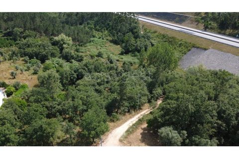 Helårsgrund i Penela, Coimbra, Penela - € 38.250 | Ref: RR97533 - foto 6