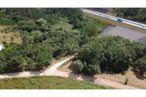 Helårsgrund i Penela, Coimbra, Penela - € 38.250 | Ref: RR97533 - foto 7
