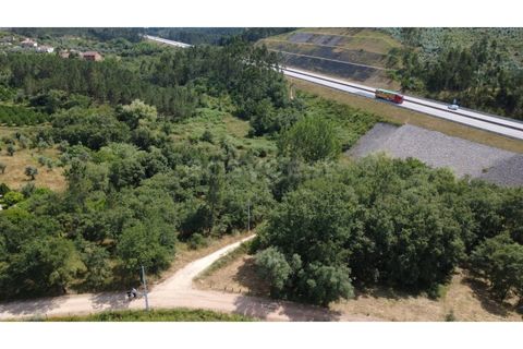 Helårsgrund i Penela, Coimbra, Penela - € 38.250 | Ref: RR97533 - foto 8