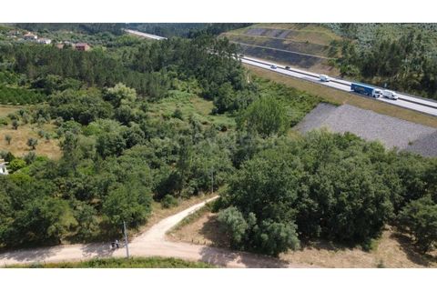 Helårsgrund i Penela, Coimbra, Penela - € 38.250 | Ref: RR97533 - foto 9