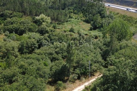 Helårsgrund i Penela, Coimbra, Penela - € 38.250 | Ref: RR97533 - foto 10