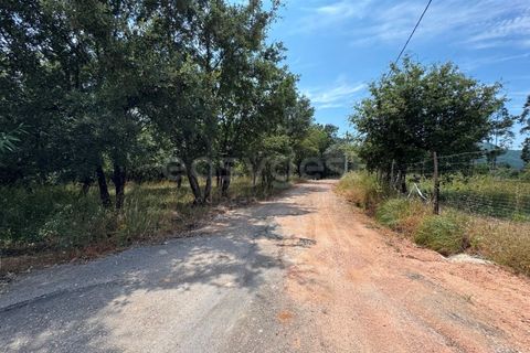Helårsgrund i Penela, Coimbra, Penela - € 38.250 | Ref: RR97533 - foto 12