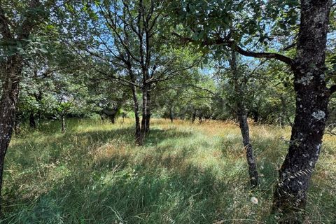 Helårsgrund i Penela, Coimbra, Penela - € 38.250 | Ref: RR97533 - foto 13