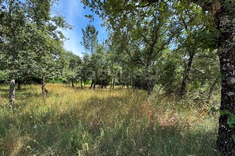 Helårsgrund i Penela, Coimbra, Penela - € 38.250 | Ref: RR97533 - foto 15