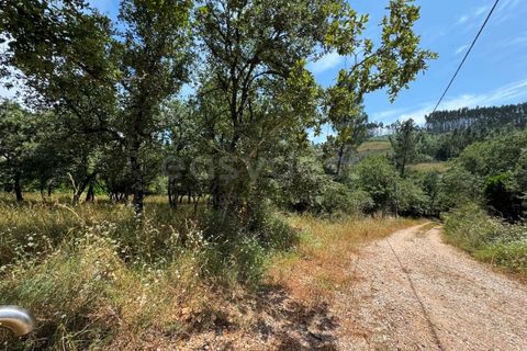 Helårsgrund i Penela, Coimbra, Penela - € 38.250 | Ref: RR97533 - foto 16