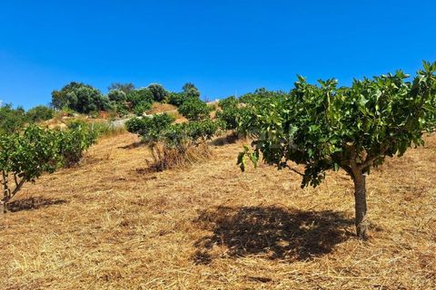 Helårsgrund i Estombar, Faro, Estombar - € 462.000 | Ref: AL97530LP - foto 6