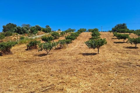 Helårsgrund i Estombar, Faro, Estombar - € 462.000 | Ref: AL97530LP - foto 7