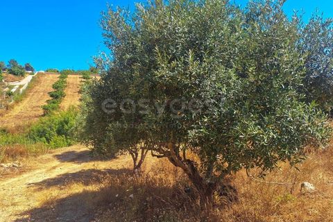 Helårsgrund i Estombar, Faro, Estombar - € 462.000 | Ref: AL97530LP - foto 8