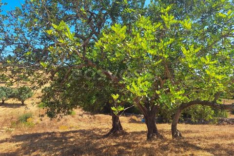 Helårsgrund i Estombar, Faro, Estombar - € 462.000 | Ref: AL97530LP - foto 9