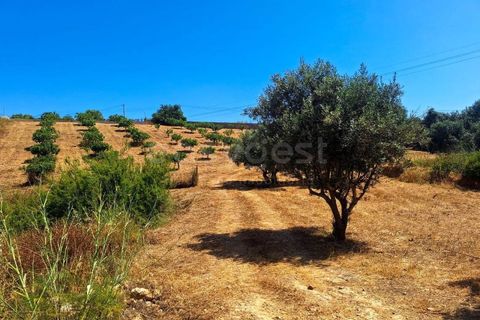 Helårsgrund i Estombar, Faro, Estombar - € 462.000 | Ref: AL97530LP - foto 13