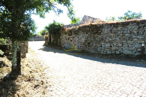 Helårsgrund i Ansiao, Leiria, Ansiao - € 10.000 | Ref: ko2649 - foto 7