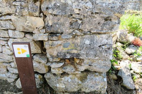 Helårsgrund i Ansiao, Leiria, Ansiao - € 10.000 | Ref: ko2649 - foto 12