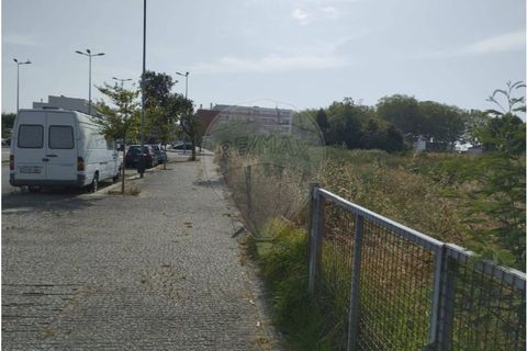 Helårsgrund i Maia, Porto, Maia - € 2.500.000 | Ref: 120781402-36 - foto 4