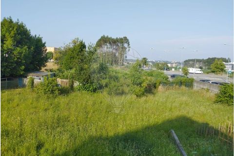 Helårsgrund i Maia, Porto, Maia - € 2.500.000 | Ref: 120781402-36 - foto 14