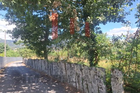 Terra a Azere, Viana do Castelo, Azere - € 109.000 | Ref: FM1092 - foto 2