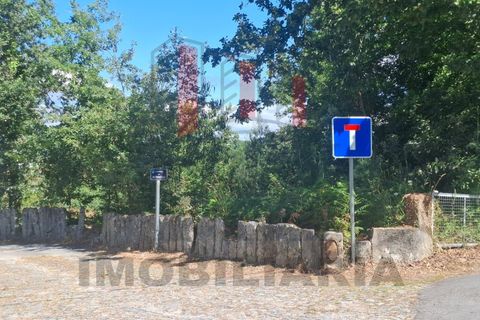 Terra a Azere, Viana do Castelo, Azere - € 109.000 | Ref: FM1092 - foto 3