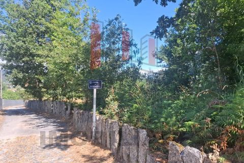 Terra a Azere, Viana do Castelo, Azere - € 109.000 | Ref: FM1092 - foto 4