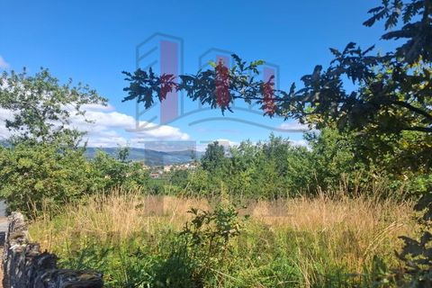 Terra a Azere, Viana do Castelo, Azere - € 109.000 | Ref: FM1092 - foto 5