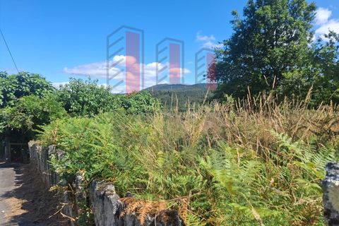 Terra a Azere, Viana do Castelo, Azere - € 109.000 | Ref: FM1092 - foto 9